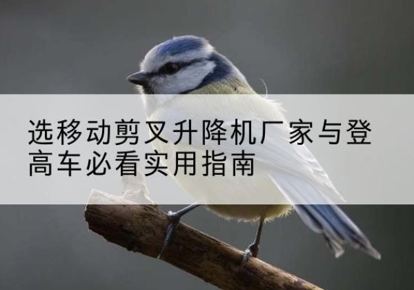 牧野电动升降机厂家-选移动剪叉升降机厂家与登高车必看实用指南